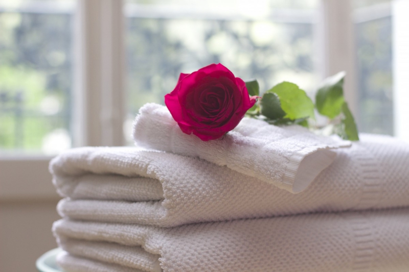 hotel-GINASSERVIS-min_towel_rose_clean_care_salon_spa_white_bath-731641